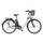 Telefunken E-Bike RC830