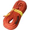 Tendon Smart Lite 9.8