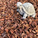 Terra Discount Dekor Pinie