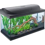 Tetra Starter Line 105 L Aquarium Komplett-Set