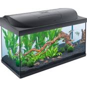 Tetra Starter Line 105 L Aquarium Komplett-Set Vergleich