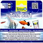 Wassertest Aquarium