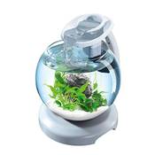 Tetra Waterfall Duo-Aquarium Globus Vergleich