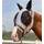 Tgw Riding Pferd Fliegenmaske