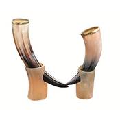 The Antique House Ochsenhorn-Set NS204