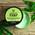 The Body Shop Hanf Körperbutter