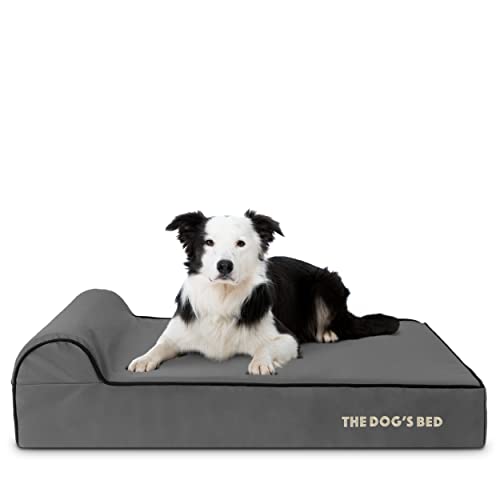 Orthopdisches Hundebett Test und Vergleich 2026 | WELT.de