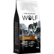 The Hunger Of The Wolf Hundefutter Vergleich