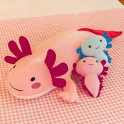 Thingehoy Axolotl Vergleich