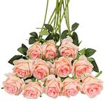 Tifuly Rosen
