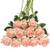 Tifuly Rosen