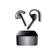Timekettle W4 Pro
