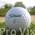 Titleist Lakeballs 