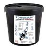 Tomodachi Deep Winter