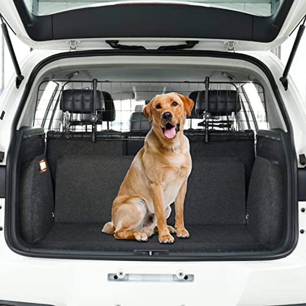 Hundegitter Auto Test
