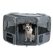 Toozey Welpenauslauf Vergleich