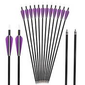 Toparchery Carbonpfeile Vergleich