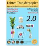 TransOurdream Trans-10-10