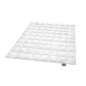 Traumnacht Exklusiv Vergleich