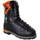 Treemme Eibe 1102
