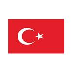 TrendClub100® Fahne Türkei