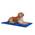 TrendPet Arctic Comfort
