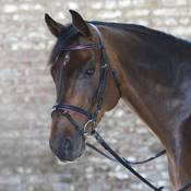 Star W81357054-VB Vergleich
