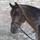 Star W81357054-VB