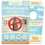 Trichowin Schlupfwespen gegen Lebensmittel- & Kleidermotten Vergleich