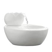 Trinkbrunnen Katzenbrunnen Keramik Vergleich