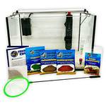 Triops King Zuchtset Deluxe I