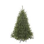 Triumph Tree Bristlecone