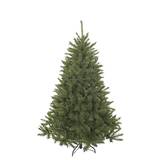 Triumph Tree Bristlecone
