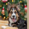 Hunde-Adventskalender