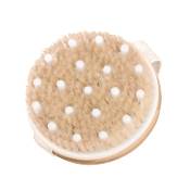 QTTO Trockenbürste Vergleich