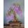 Tropica 90033