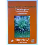 Tropica Zitronengras