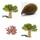 Tropical-Seeds Affenbrotbaum