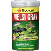 Tropical Welsi Gran