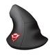 Trust Gaming GXT 144 Rexx Vergleich
