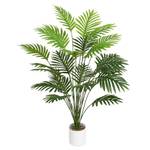 Tuocal Areca Palme