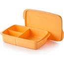 Tupperware Lunch-It Portion & Go