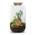 Urbanjngl Flaschengarten - Sven Bonsai mit Lampe