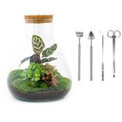 Urbanjngl ‎Sam XL Vergleich