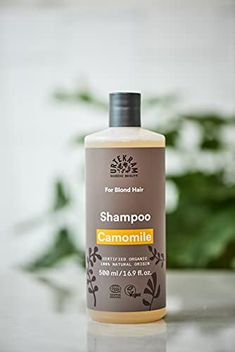 Kamille-Shampoo Test & Vergleich » Top 8 im Februar 2024 | Haarshampoos