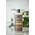 Urtekram For Blond Hair Shampoo Camomile