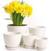 Utopia Home 5er-Pack Blumentopf