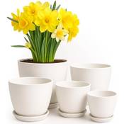 Utopia Home 5er-Pack Blumentopf Vergleich