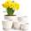 Utopia Home 5er-Pack Blumentopf