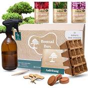 Valeaf Bonsai-Box Vergleich